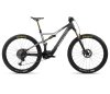 Orbea RISE M-LTD S Cabon Raw-Shark Grey (Matt)